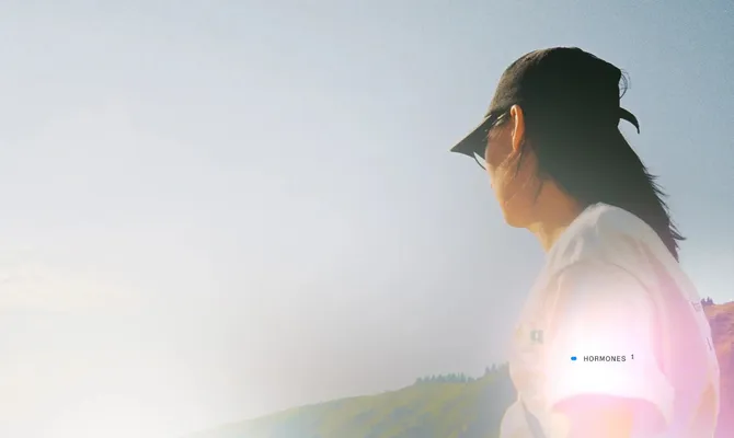 How Lucis Made Security a Default, Not a Tradeoff